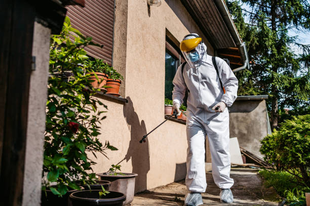 Flea Control Services in Labelle, FL