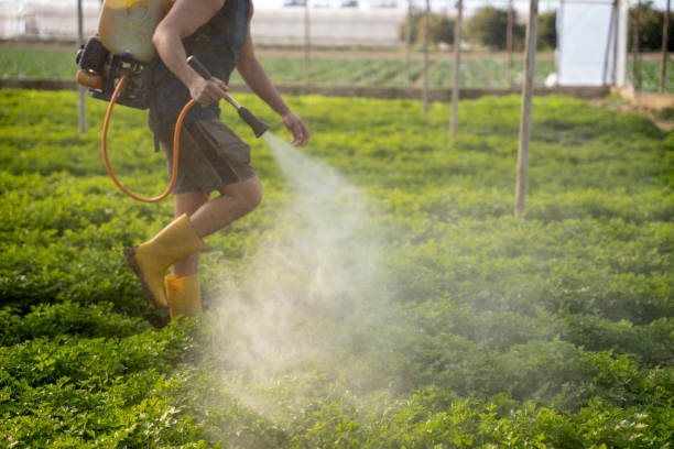 Best Residential Pest Control  in Labelle, FL